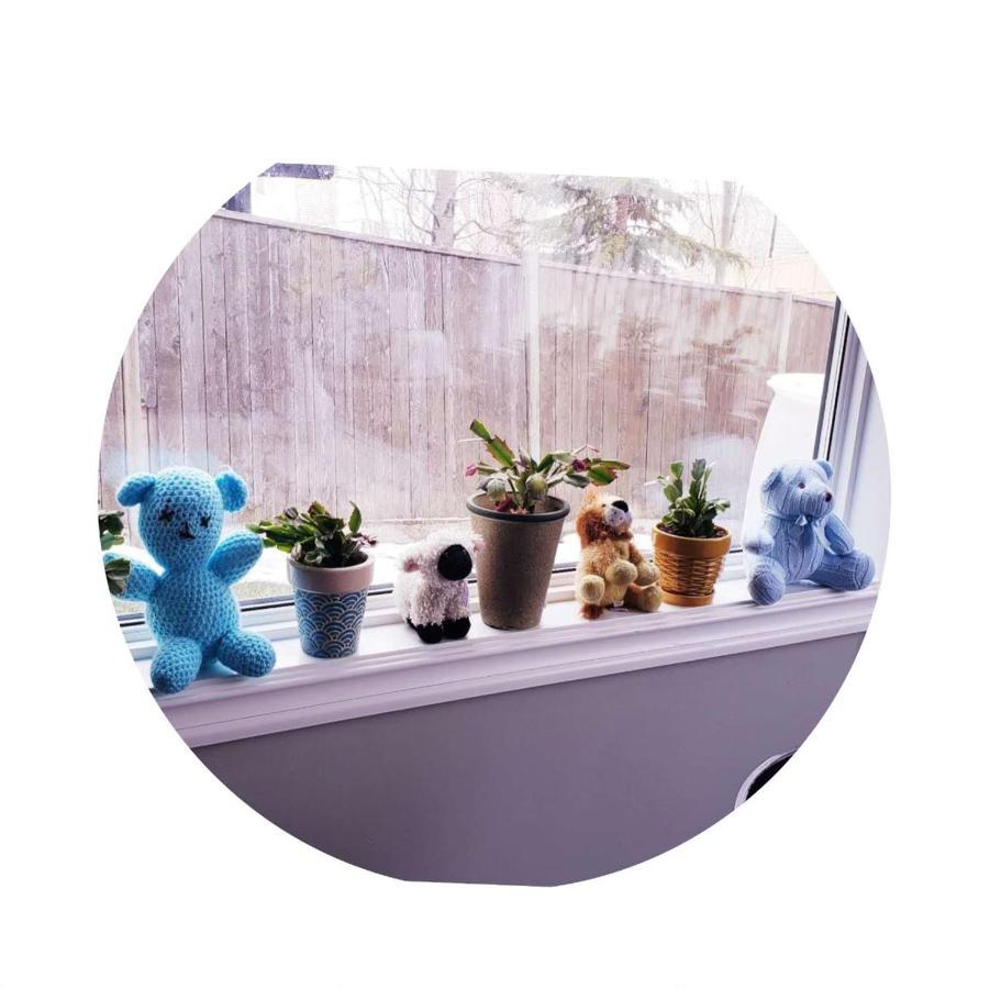 Best Garden House&3 Mins Bus Station Close C-Train&Free Parking YYC المظهر الخارجي الصورة